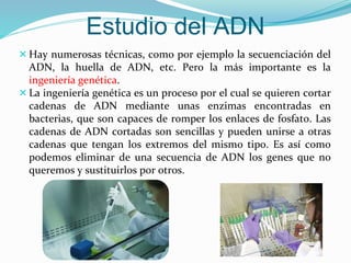 Hay numerosas técnicas, como por ejemplo la secuenciación del
ADN, la huella de ADN, etc. Pero la más importante es la
ingeniería genética.
La ingeniería genética es un proceso por el cual se quieren cortar
cadenas de ADN mediante unas enzimas encontradas en
bacterias, que son capaces de romper los enlaces de fosfato. Las
cadenas de ADN cortadas son sencillas y pueden unirse a otras
cadenas que tengan los extremos del mismo tipo. Es así como
podemos eliminar de una secuencia de ADN los genes que no
queremos y sustituirlos por otros.
Estudio del ADN
 