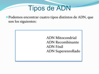 Podemos encontrar cuatro tipos distintos de ADN, que
son los siguientes:
Tipos de ADN
ADN Mitocondrial
ADN Recombinante
ADN Fósil
ADN Superenrollado
 