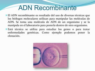El ADN recombinante es resultado del uso de diversas técnicas que
los biólogos moleculares utilizan para manipular las moléculas de
ADN. Se toma una molécula de ADN de un organismo y se la
manipula en el laboratorio para ponerla dentro de otro organismo.
Está técnica se utiliza para estudiar los genes o para tratar
enfermedades genéticas. Como ejemplo podemos poner la
clonación.
ADN Recombinante
 