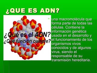 ¿QUE ES ADN?¿QUE ES ADN?
 una macromolécula queuna macromolécula que
forma parte de todas lasforma parte de todas las
células. Contiene lacélulas. Contiene la
información genéticainformación genética
usada en el desarrollo yusada en el desarrollo y
el funcionamiento de losel funcionamiento de los
organismos vivosorganismos vivos
conocidos y de algunosconocidos y de algunos
virus, siendo elvirus, siendo el
responsable de suresponsable de su
transmisión hereditaria.transmisión hereditaria.
 
