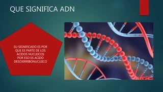 QUE SIGNIFICA ADN
SU SIGNIFICADO ES POR
QUE ES PARTE DE LOS
ACIDOS NUCLEICOS
POR ESO ES ACIDO
DESOXIRRIBONUCLEICO
 