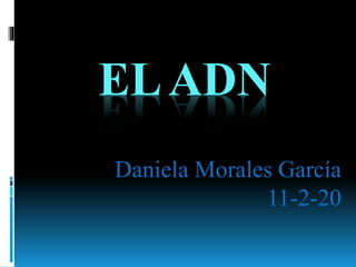 EL ADN 
Daniela Morales García 
11-2-20 
 