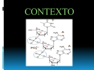 CONTEXTO 
 