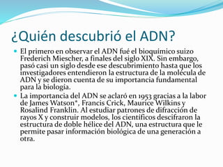 ¿Quién descubrió el ADN?
 El primero en observar el ADN fué el bioquímico suizo
Frederich Miescher, a finales del siglo XIX. Sin embargo,
pasó casi un siglo desde ese descubrimiento hasta que los
investigadores entendieron la estructura de la molécula de
ADN y se dieron cuenta de su importancia fundamental
para la biología.
 La importancia del ADN se aclaró en 1953 gracias a la labor
de James Watson*, Francis Crick, Maurice Wilkins y
Rosalind Franklin. Al estudiar patrones de difracción de
rayos X y construir modelos, los científicos descifraron la
estructura de doble hélice del ADN, una estructura que le
permite pasar información biológica de una generación a
otra.
 