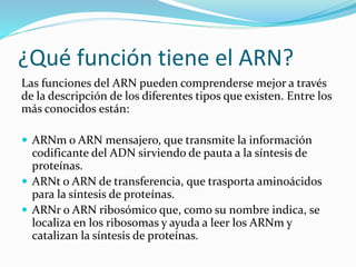 ¿Qué función tiene el ARN?
Las funciones del ARN pueden comprenderse mejor a través
de la descripción de los diferentes tipos que existen. Entre los
más conocidos están:
 ARNm o ARN mensajero, que transmite la información
codificante del ADN sirviendo de pauta a la síntesis de
proteínas.
 ARNt o ARN de transferencia, que trasporta aminoácidos
para la síntesis de proteínas.
 ARNr o ARN ribosómico que, como su nombre indica, se
localiza en los ribosomas y ayuda a leer los ARNm y
catalizan la síntesis de proteínas.
 