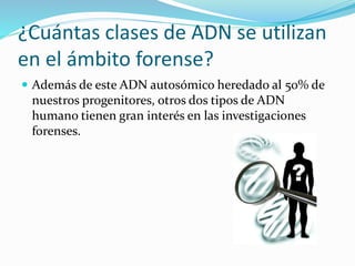 ¿Cuántas clases de ADN se utilizan
en el ámbito forense?
 Además de este ADN autosómico heredado al 50% de
nuestros progenitores, otros dos tipos de ADN
humano tienen gran interés en las investigaciones
forenses.
 