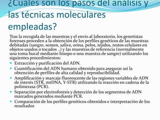¿Cuáles son los pasos del análisis y
las técnicas moleculares
empleadas?
Tras la recogida de las muestras y el envío al laboratorio, los genetistas
forenses proceden a la obtención de los perfiles genéticos de las muestras
debitadas (sangre, semen, saliva, orina, pelos, tejidos, restos celulares en
objetos usados o tocados ..) y las muestras de referencia (normalmente
una toma bucal mediante hisopo o una muestra de sangre) utilizando los
siguientes procedimientos:
 Extracción y purificación del ADN.
 Cuantificación del ADN humano obtenido para asegurar así la
obtención de perfiles de alta calidad y reproducibilidad.
 Amplificación y marcaje fluorescente de las regiones variables de ADN
de interés (STR, mtDNA, Y-STR) utilizando la reacción en cadena de la
polimerasa (PCR).
 Separación por electroforesis y detección de los segmentos de ADN
marcados generados mediante PCR.
 Comparación de los perfiles genéticos obtenidos e interpretación de los
resultados
 