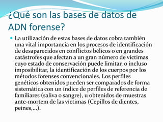  La utilización de estas bases de datos cobra también
una vital importancia en los procesos de identificación
de desaparecidos en conflictos bélicos o en grandes
catástrofes que afectan a un gran número de víctimas
cuyo estado de conservación puede limitar, o incluso
imposibilitar, la identificación de los cuerpos por los
métodos forenses convencionales. Los perfiles
genéticos obtenidos pueden ser comparados de forma
sistemática con un índice de perfiles de referencia de
familiares (saliva o sangre), u obtenidos de muestras
ante-mortem de las víctimas (Cepillos de dientes,
peines,...).
¿Qué son las bases de datos de
ADN forense?
 