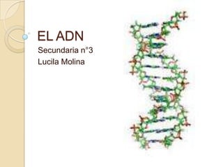 EL ADN
Secundaria n°3
Lucila Molina
 