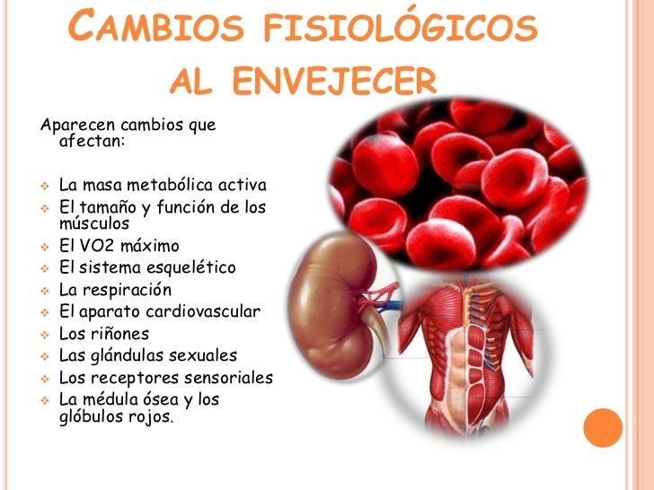 El adulto mayor y el ejercicio El adulto mayor y el ejercicio