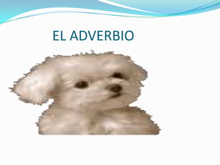 EL ADVERBIO
 