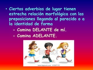 • Ciertos adverbios de lugar tienen 
estrecha relación morfológica con las 
preposiciones llegando al parecido o a 
la identidad de forma 
- Camina DELANTE de mí. 
- Camina ADELANTE. 
 