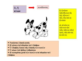 ὁ, ἡ                        κυνόδοντας
       κύ ων                                         ὁ, ἡ κύων
                                                     τοῦ,τῆς κυν-ός
                                                     τῷ, τῇ κυν-ί
                                                     τόν, τήν κύν-α
                                                     ὦ κύον

                                                     οἱ, αἱ κύν-ες
                                                     τῶν κυν-ῶν
                                                     τοῖς, ταῖς κυ-σί(ν)
                                                     τούς, τάς κύν-ας
                                                     ὦ κύν-ες


● Ἀ κούεται ὑ λακή κυνός
● Οἱ κύνες εἰ σί πλησίον τοῦ ἐ λάφου
● Ὁ ἔ λαφος ἤ κουε τάς ὑ λακάς τῶ ν κυνῶ ν
● Ὁ κύων ἐ στί φίλος ἀ νθρώπου
● Οἱ κυνηγέται μετά τῶ ν κυνῶ ν εἰ σί πλησίον το ῦ
ἐ λάφου
 
