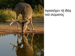 προσεῖχεν τῇ ἰδέᾳ
τοῦ σώματος
 
