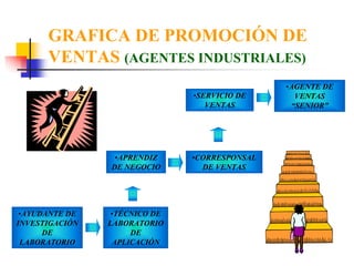 GRAFICA DE PROMOCIÓN DE
      VENTAS (AGENTES INDUSTRIALES)
                                               •AGENTE DE
                               •SERVICIO DE      VENTAS
                                  VENTAS        “SENIOR”




                 •APRENDIZ     •CORRESPONSAL
                DE NEGOCIO       DE VENTAS




 •AYUDANTE DE    •TÉCNICO DE
INVESTIGACIÓN   LABORATORIO
      DE             DE
 LABORATORIO     APLICACIÓN
 