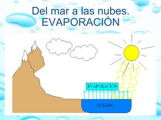 Del mar a las nubes. EVAPORACIÓN 