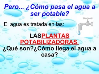 Pero... ¿Cómo pasa el agua a ser potable?     El agua es tratada en las:   LAS PLANTAS POTABILIZADORAS . ¿Qué son?¿Cómo llega el agua a casa?   