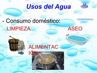 Usos del Agua - Consumo doméstico:       LIMPIEZA                          ASEO           ALIMENTACIÓN 