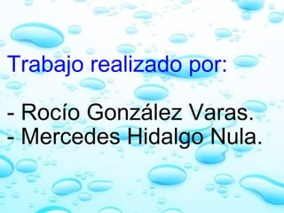 Trabajo realizado por:   - Rocío González Varas. - Mercedes Hidalgo Nula. 