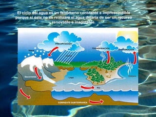 El  ciclo del agua  es un fenómeno constante e imprescindible porque si éste no se realizara el agua dejaría de ser un recurso renovable e inagotable. 
