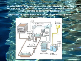 La  potabilización del agua  es un proceso muy importante ya que para ser ingerida y no causar daños a las seres vivos, ésta debe contener la menor cantidad de contaminantes posibles. El proceso de potabilización es el que se muestra en el siguiente esquema: 