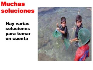Muchas solucionesHay varias soluciones para tomar en cuenta