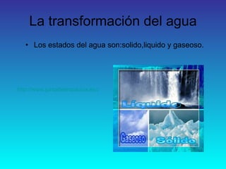 La transformación del agua Los estados del agua son:solido,liquido y gaseoso. http://www.juntadeandalucia.es/averroes/lorca_alcala/udidacticas/agua/losestadosdelagua/losestadosdelagua.htm  