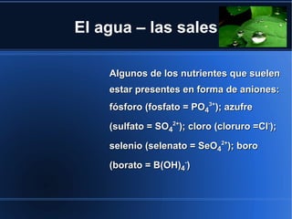 El agua – las sales

    Algunos de los nutrientes que suelen
    estar presentes en forma de aniones:
    fósforo (fosfato = PO43+); azufre

    (sulfato = SO42+); cloro (cloruro =Cl-);

    selenio (selenato = SeO42+); boro

    (borato = B(OH)4-)
 