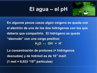 El agua – el pH

En algunos pocos casos algún oxígeno se queda con
el electrón de uno de los dos hidrógenos con los que
debería que compartirlo. El hidrógeno se queda
“desnudo” con una carga positiva:
                H2O ↔ OH- + H+

La concentración de protones (= hidrógenos
desnudos) y de hidróxil es de 10-7 mol/l
(1 mol = 6,023 *1023 partículas)
 
