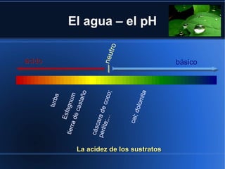 ácido
                                         turb
                                             a
                                      Esfa
                              tierr        g
                                    a de num
                                         cas
                                             taño

                              cás
                                  c
                             perl ara de
                                 ita;.   coc
                                      ..     o;      neu
                                                         tro

                                  cal;
                                       dolo
                                            mita
                                                               El agua – el pH




La acidez de los sustratos
                                                    básico
 
