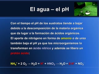 El agua – el pH

Con el tiempo el pH de los sustratos tiende a bajar
debido a la descomposición de la materia orgánica
que da lugar a la formación de ácidos orgánicos.
El aporte de nitrógeno en forma de amonio o de urea
también baja el pH ya que los microorganismos lo
transforman en ácido nítrico y además se libera un
protón ácido:


NH4+ + 2 O2 → H2O + H+ + HNO3 → H2O + 2 H+ + NO3-
 