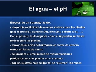 El agua – el pH

Efectos de un sustrato ácido:
- mayor disponibilidad de muchos metales para las plantas
(p.ej. hierro (Fe), aluminio (Al), cinc (Zn), cobalto (Co), …).
Con el pH muy ácido algunos como el Al pueden ser hasta
tóxicos para las plantas.
- mayor asimilación del nitrógeno en forma de amonio,
menor en forma de nitrato
- se favorece el crecimiento de microorganismos
patógenos para las plantas en el sustrato
- con un sustrato muy ácido (<4) se “queman” las raíces
 