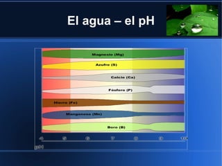 El agua – el pH
 