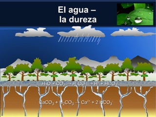 El agua –
       la dureza




 H2O + CO2 → H2CO3 → H+ + HCO3-


CaCO3 + H2CO3 → Ca2+ + 2 HCO3-
 