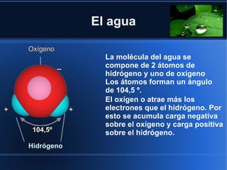 El agua

    Oxígeno
                         La molécula del agua se
              --         compone de 2 átomos de
                         hidrógeno y uno de oxígeno
                         Los átomos forman un ángulo
                         de 104,5 º.
                         El oxígen o atrae más los
+                  +     electrones que el hidrógeno. Por
                         esto se acumula carga negativa
                         sobre el oxígeno y carga positiva
     104,5º              sobre el hidrógeno.
    Hidrógeno
 