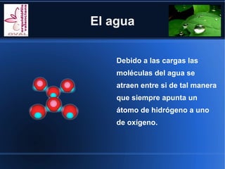 El agua


    Debido a las cargas las
    moléculas del agua se
    atraen entre si de tal manera
    que siempre apunta un
    átomo de hidrógeno a uno
    de oxígeno.
 