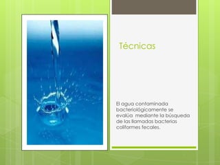 Técnicas




El agua contaminada
bacteriológicamente se
evalúa mediante la búsqueda
de las llamadas bacterias
coliformes fecales.
 