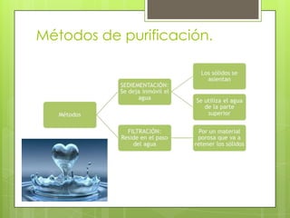 Métodos de purificación.
 