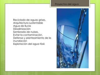 Proyectos del agua




Reciclado de aguas grises.
Arquitectura sustentable
Agua de lluvia
Desalinización
Sembrado de nubes.
Evitar la contaminación.
Defensa y planteamiento de la
inundación
Explotación del agua fósil.
 