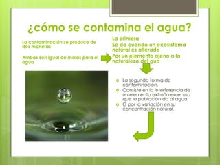 ¿cómo se contamina el agua?
                                   La primera
La contaminación se produce de
dos maneras                        Se da cuando un ecosistema
                                   natural es alterado
Ambas son igual de malas para el   Por un elemento ajeno a la
agua                               naturaleza del gua


                                       La segunda forma de
                                        contaminación.
                                       Consiste en la interferencia de
                                        un elemento extraño en el uso
                                        que la población da al agua
                                       O por la variación en su
                                        concentración natural.
 