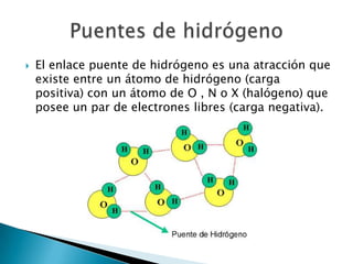    El enlace puente de hidrógeno es una atracción que
    existe entre un átomo de hidrógeno (carga
    positiva) con un átomo de O , N o X (halógeno) que
    posee un par de electrones libres (carga negativa).
 