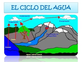 EL CICLO DEL AGUA
 