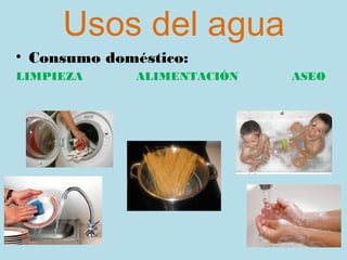 Usos del agua
• Consumo doméstico:
LIMPIEZA     ALIMENTACIÓN   ASEO
 