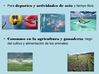 • Para deportes y actividades de ocio y tiempo libre.




• Consumo en la agricultura y ganadería: riego
  del cultivo y alimentación de los animales.
 