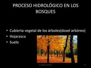 PROCESO HIDROLÓGICO EN LOS
            BOSQUES


• Cubierta vegetal de los árboles(dosel arbóreo)
• Hojarasca
• Suelo




                   Lic. Mónica López M.        12
 