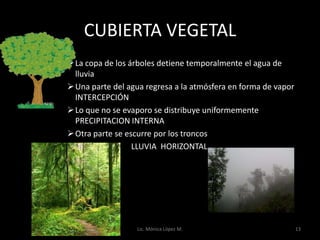 CUBIERTA VEGETAL
 La copa de los árboles detiene temporalmente el agua de
  lluvia
 Una parte del agua regresa a la atmósfera en forma de vapor
  INTERCEPCIÓN
 Lo que no se evaporo se distribuye uniformemente
  PRECIPITACION INTERNA
 Otra parte se escurre por los troncos
                 LLUVIA HORIZONTAL




                  Lic. Mónica López M.                          13
 