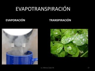 EVAPOTRANSPIRACIÓNIÓN
EVAPORACIÓN               TRANSPIRACIÓN




              Lic. Mónica López M.        17
 