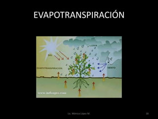 EVAPOTRANSPIRACIÓN




      Lic. Mónica López M.   18
 