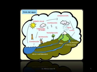 Lic. Mónica López M.   5
 