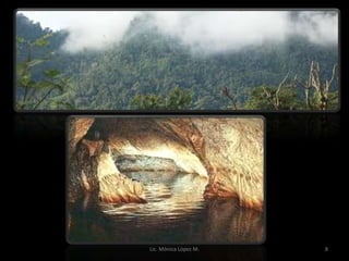 Lic. Mónica López M.   8
 